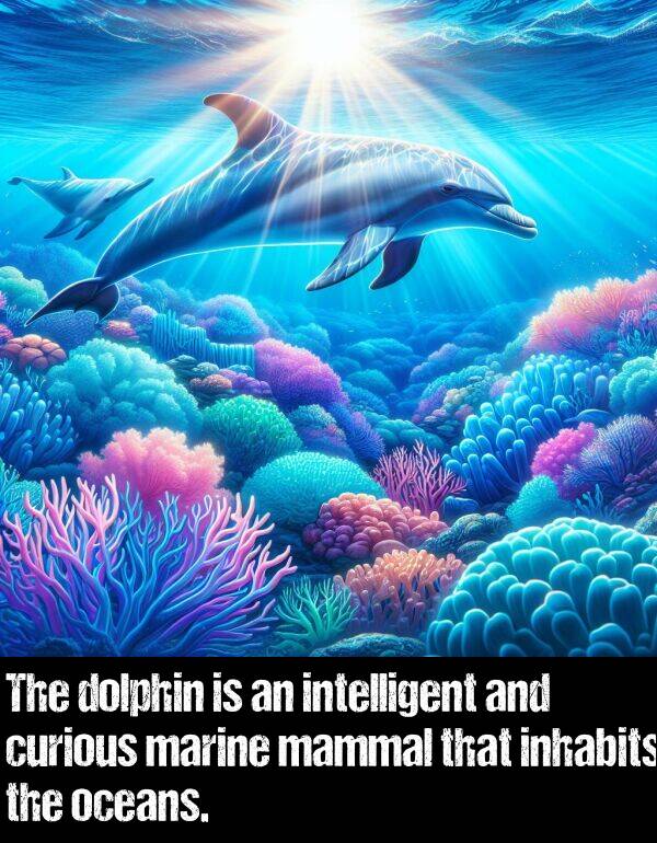 intelligent: The dolphin is an intelligent and curious marine mammal that inhabits the oceans.