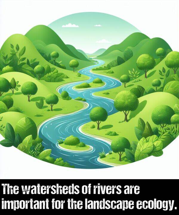 landscape: The watersheds of rivers are important for the landscape ecology.