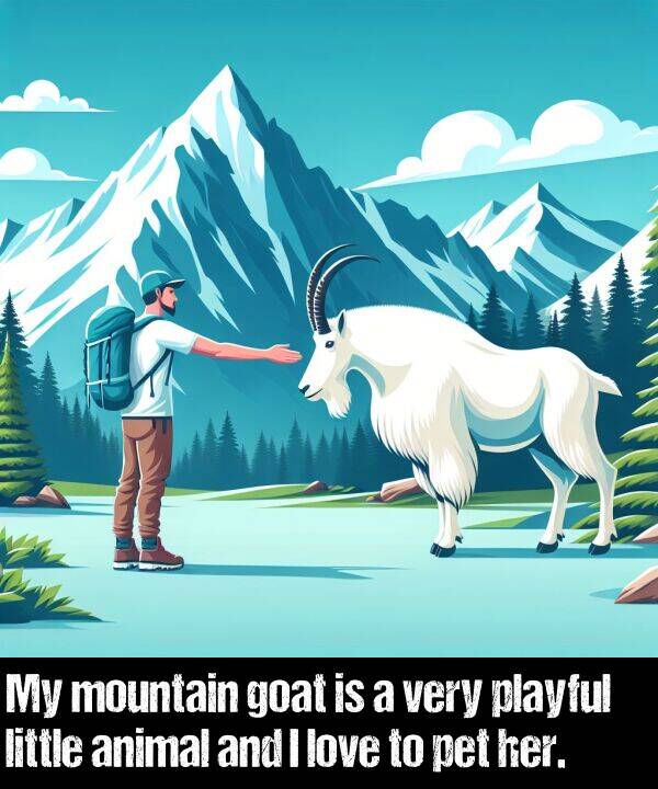 goat: My mountain goat is a very playful little animal and I love to pet her.