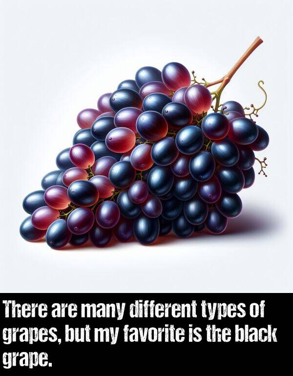 grapes: There are many different types of grapes, but my favorite is the black grape.