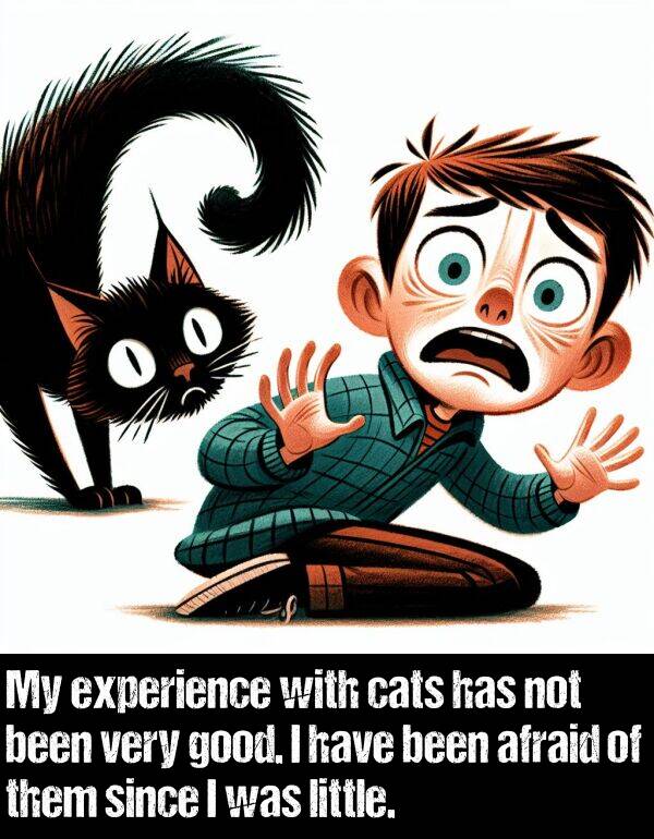 them: My experience with cats has not been very good. I have been afraid of them since I was little.