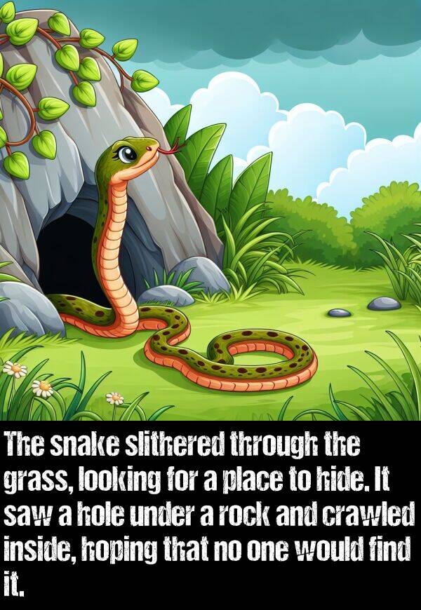 hide: The snake slithered through the grass, looking for a place to hide. It saw a hole under a rock and crawled inside, hoping that no one would find it.