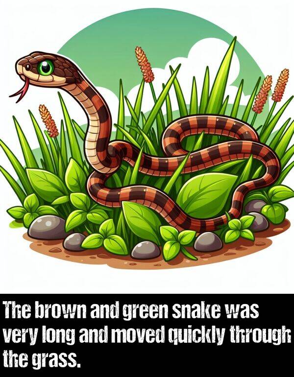 grass: The brown and green snake was very long and moved quickly through the grass.