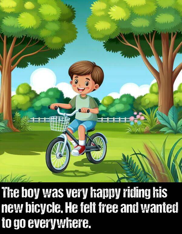 bicycle: The boy was very happy riding his new bicycle. He felt free and wanted to go everywhere.