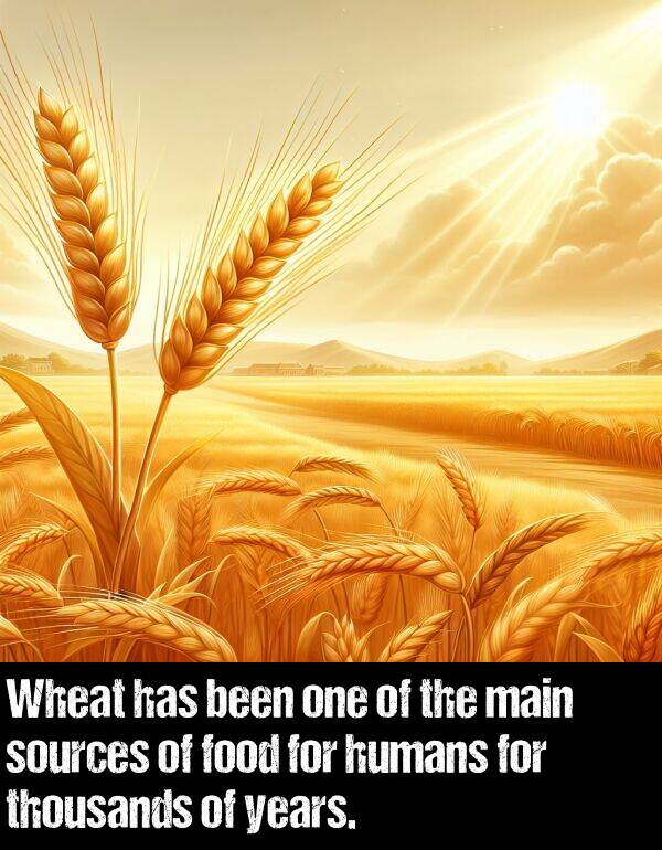 years: Wheat has been one of the main sources of food for humans for thousands of years.