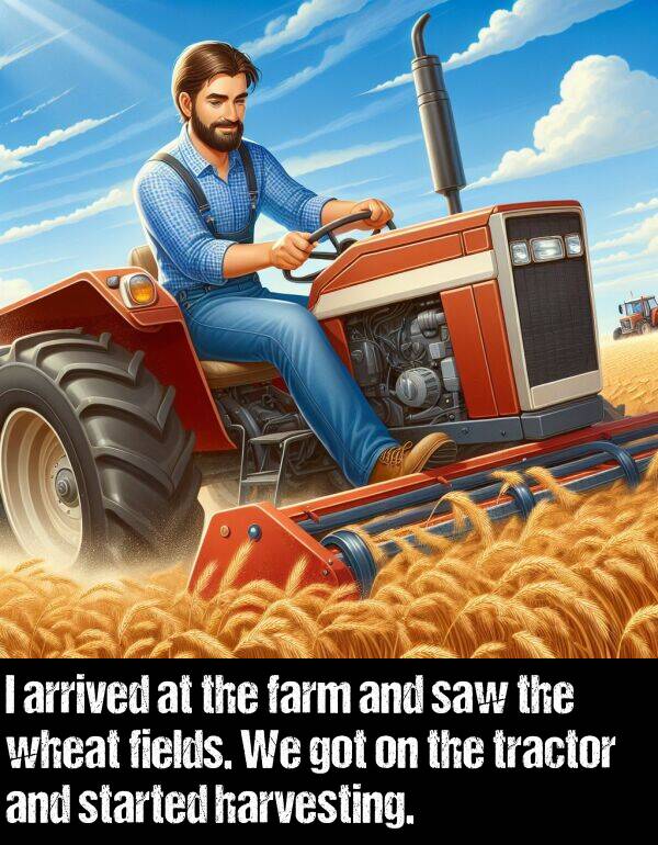 tractor: I arrived at the farm and saw the wheat fields. We got on the tractor and started harvesting.