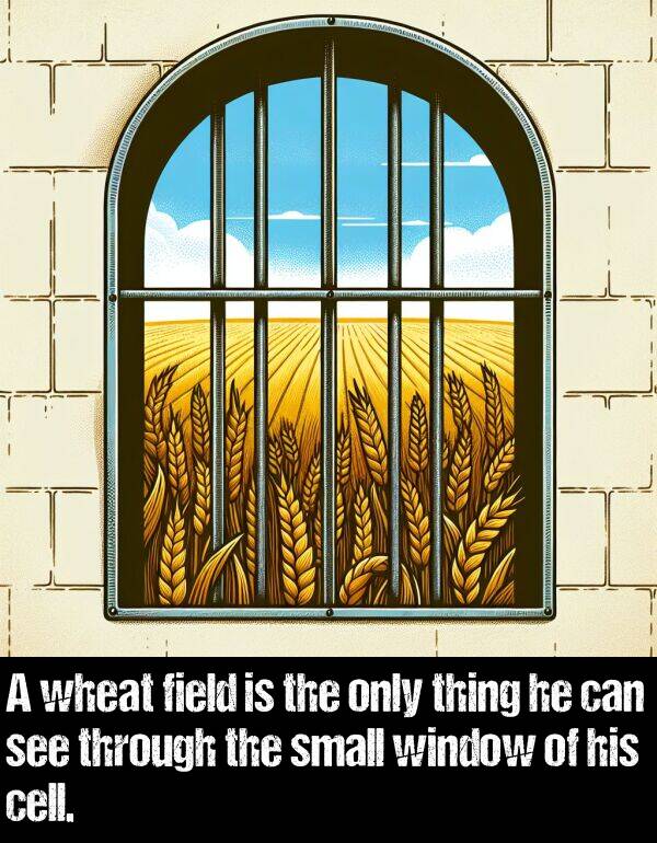 only: A wheat field is the only thing he can see through the small window of his cell.