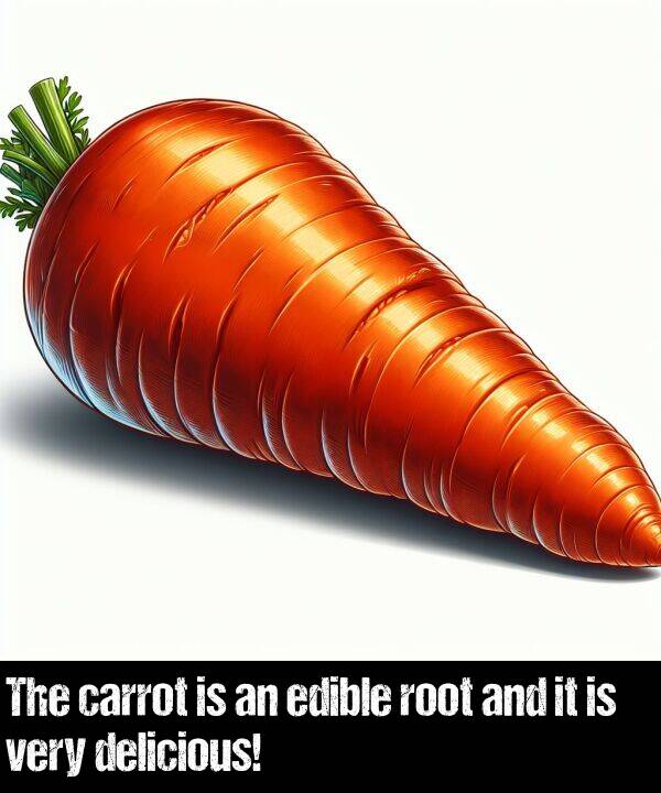 delicious: The carrot is an edible root and it is very delicious!