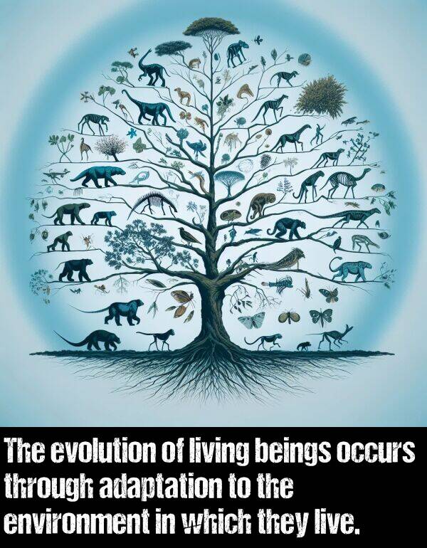 environment: The evolution of living beings occurs through adaptation to the environment in which they live.