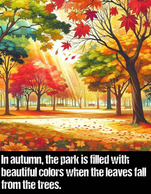 leaves: In autumn, the park is filled with beautiful colors when the leaves fall from the trees.