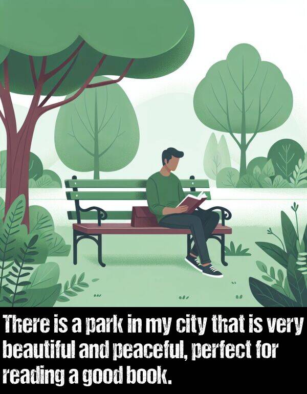 book: There is a park in my city that is very beautiful and peaceful, perfect for reading a good book.