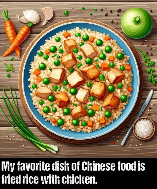 chicken: My favorite dish of Chinese food is fried rice with chicken.