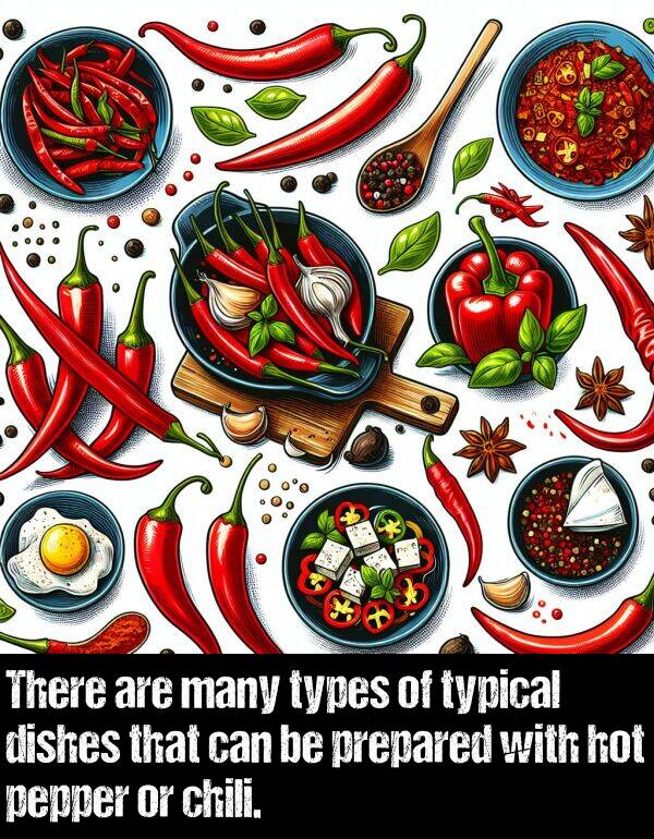 prepared: There are many types of typical dishes that can be prepared with hot pepper or chili.