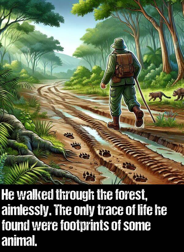 trace: He walked through the forest, aimlessly. The only trace of life he found were footprints of some animal.