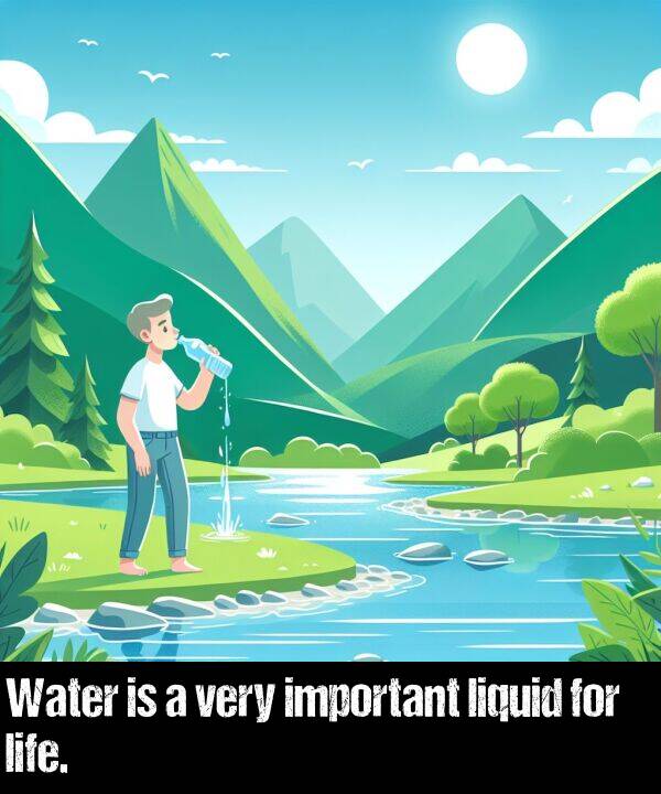 important: Water is a very important liquid for life.