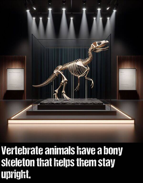 them: Vertebrate animals have a bony skeleton that helps them stay upright.