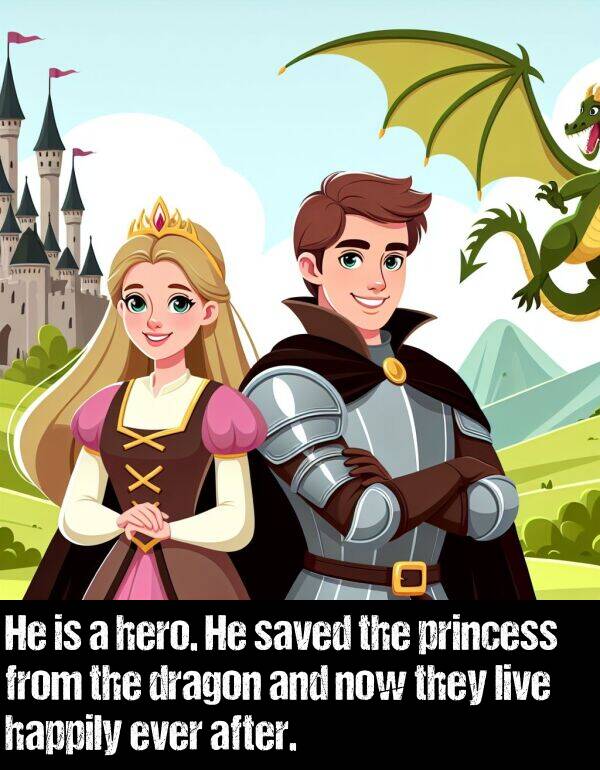 live: He is a hero. He saved the princess from the dragon and now they live happily ever after.