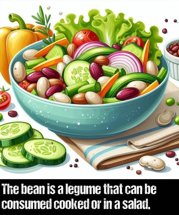 salad: The bean is a legume that can be consumed cooked or in a salad.