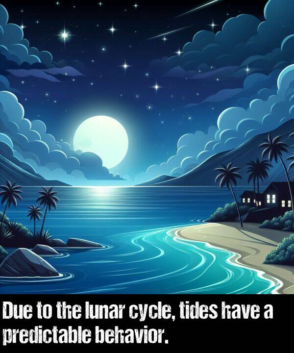 have: Due to the lunar cycle, tides have a predictable behavior.