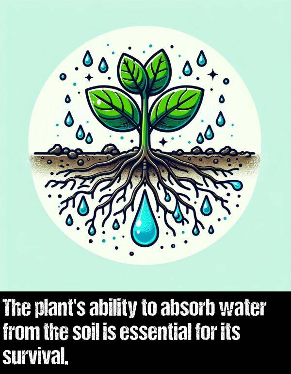 absorb: The plant's ability to absorb water from the soil is essential for its survival.