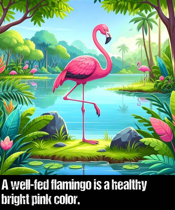 bright: A well-fed flamingo is a healthy bright pink color.