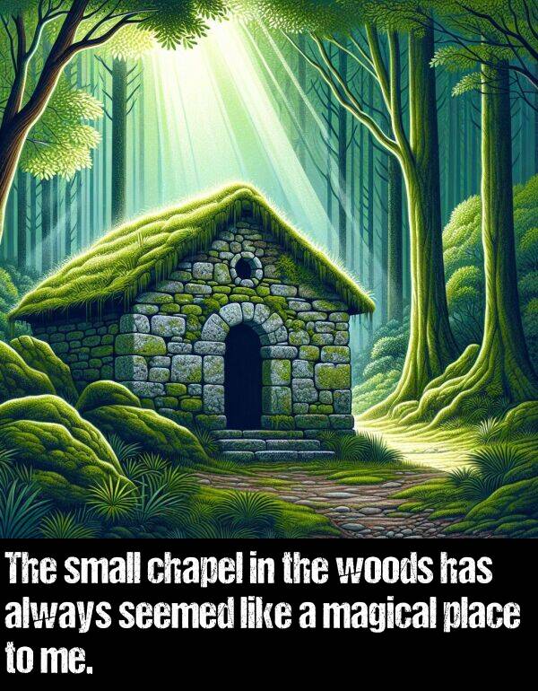 woods: The small chapel in the woods has always seemed like a magical place to me.