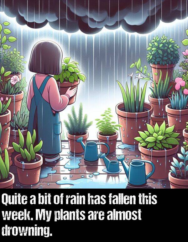 bit: Quite a bit of rain has fallen this week. My plants are almost drowning.