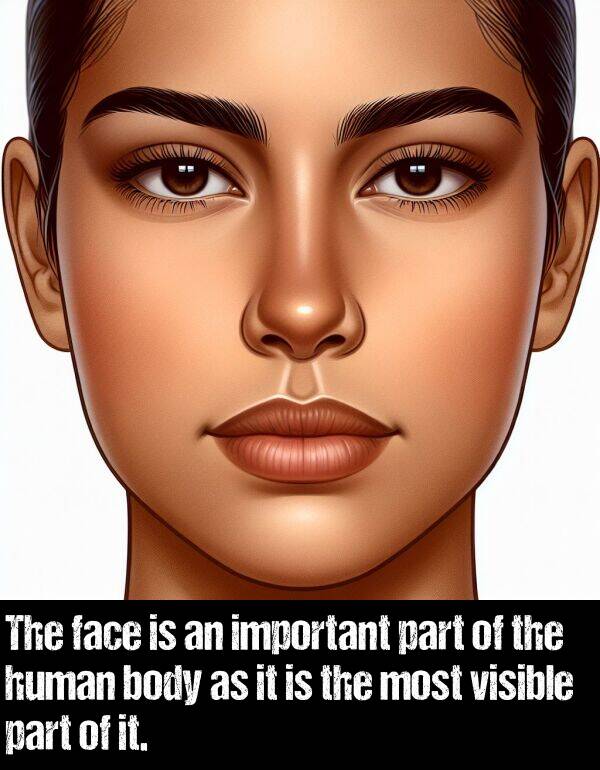 body: The face is an important part of the human body as it is the most visible part of it.