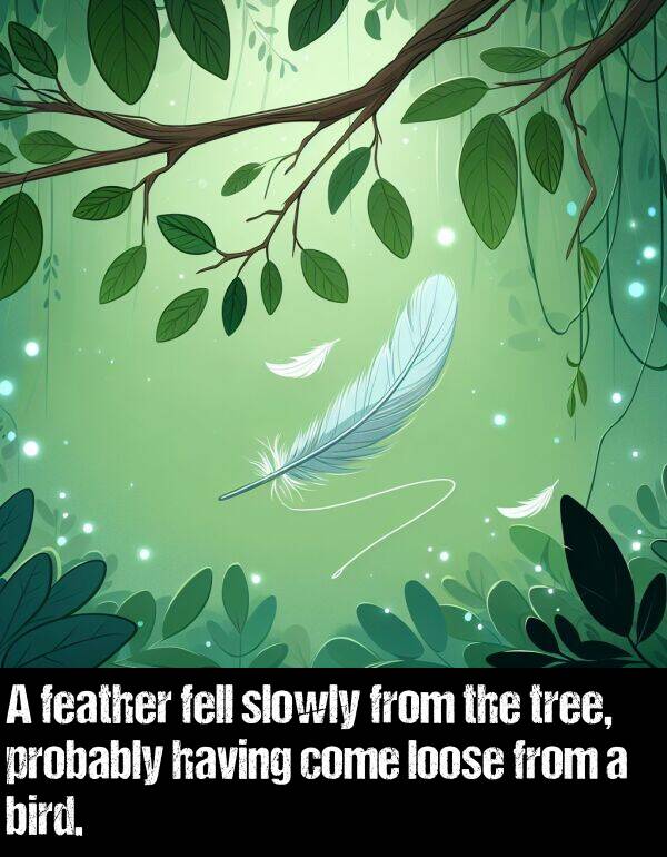 tree: A feather fell slowly from the tree, probably having come loose from a bird.