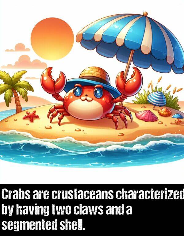 shell: Crabs are crustaceans characterized by having two claws and a segmented shell.