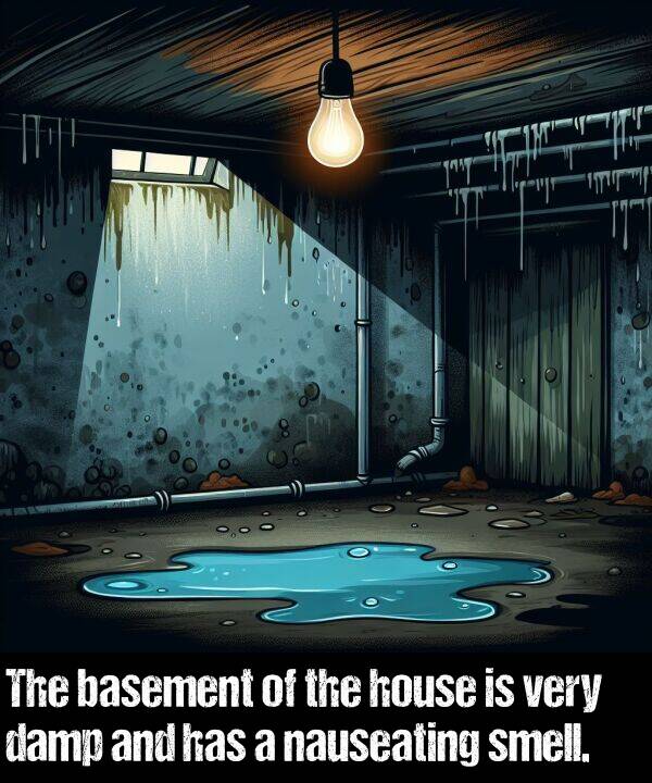 smell: The basement of the house is very damp and has a nauseating smell.