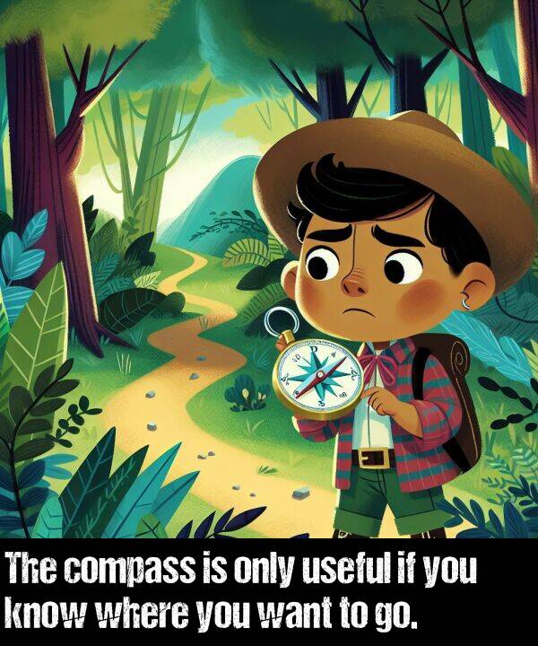 only: The compass is only useful if you know where you want to go.