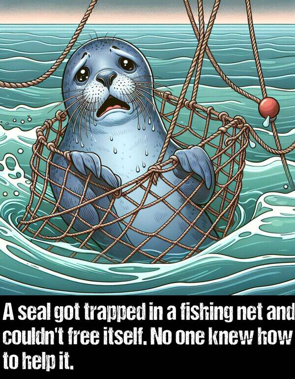 seal: A seal got trapped in a fishing net and couldn't free itself. No one knew how to help it.