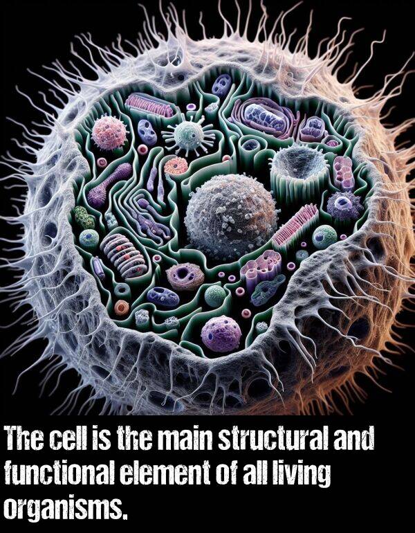 element: The cell is the main structural and functional element of all living organisms.