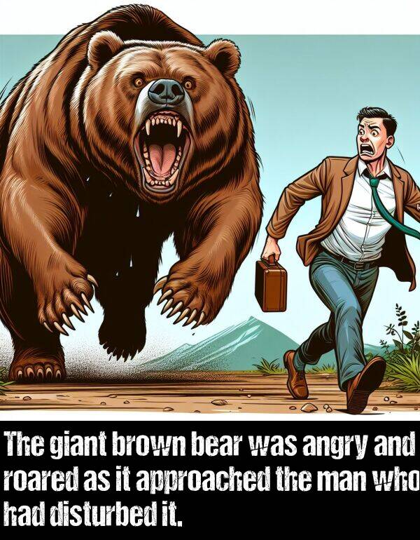 bear: The giant brown bear was angry and roared as it approached the man who had disturbed it.