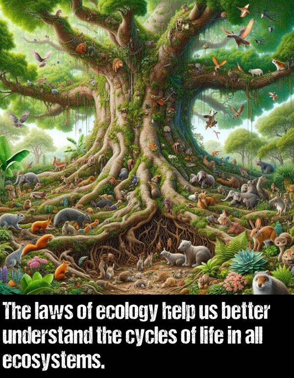 cycles: The laws of ecology help us better understand the cycles of life in all ecosystems.