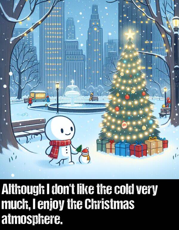 cold: Although I don't like the cold very much, I enjoy the Christmas atmosphere.