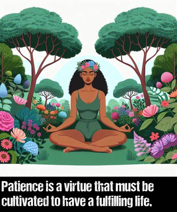 virtue: Patience is a virtue that must be cultivated to have a fulfilling life.