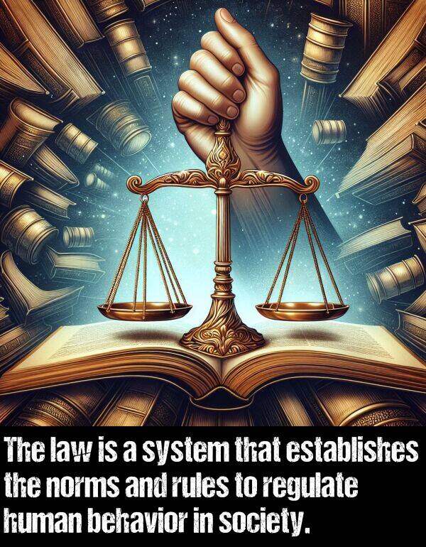 rules: The law is a system that establishes the norms and rules to regulate human behavior in society.