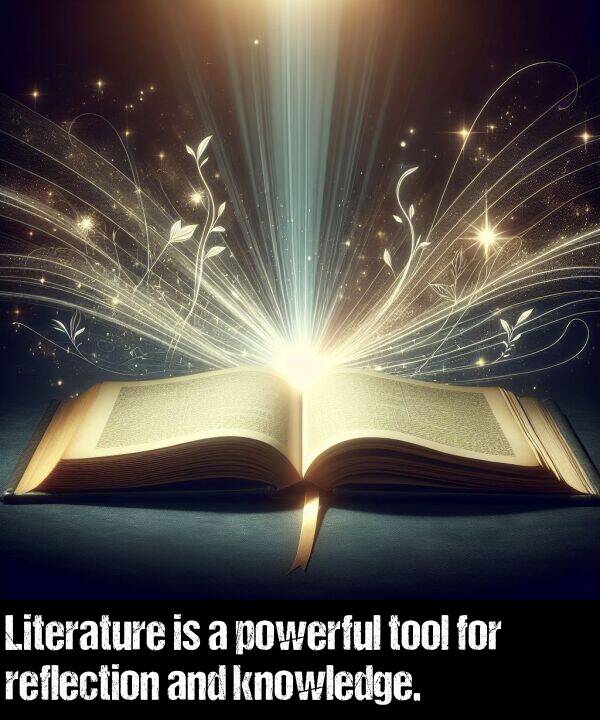 knowledge: Literature is a powerful tool for reflection and knowledge.