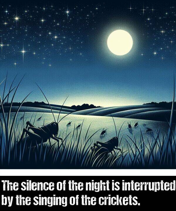 silence: The silence of the night is interrupted by the singing of the crickets.