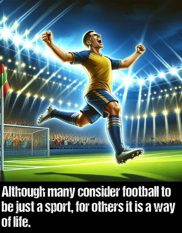 others: Although many consider football to be just a sport, for others it is a way of life.