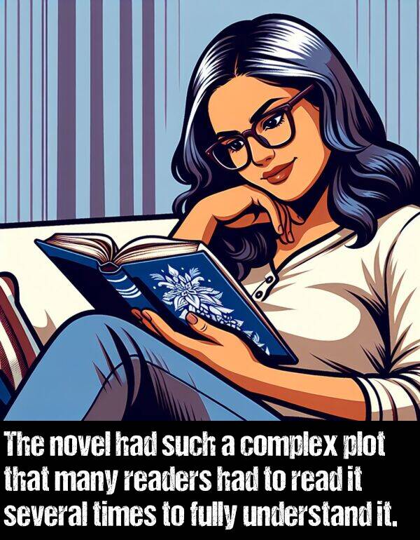 such: The novel had such a complex plot that many readers had to read it several times to fully understand it.