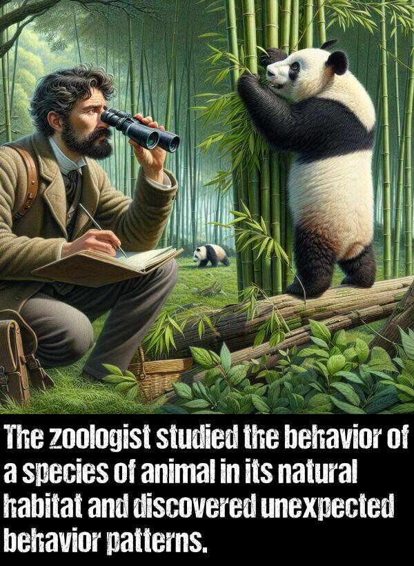 discovered: The zoologist studied the behavior of a species of animal in its natural habitat and discovered unexpected behavior patterns.