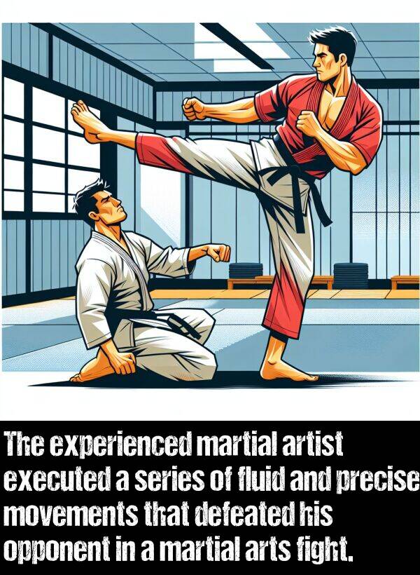 fight: The experienced martial artist executed a series of fluid and precise movements that defeated his opponent in a martial arts fight.