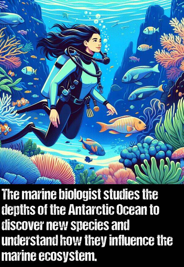 new: The marine biologist studies the depths of the Antarctic Ocean to discover new species and understand how they influence the marine ecosystem.