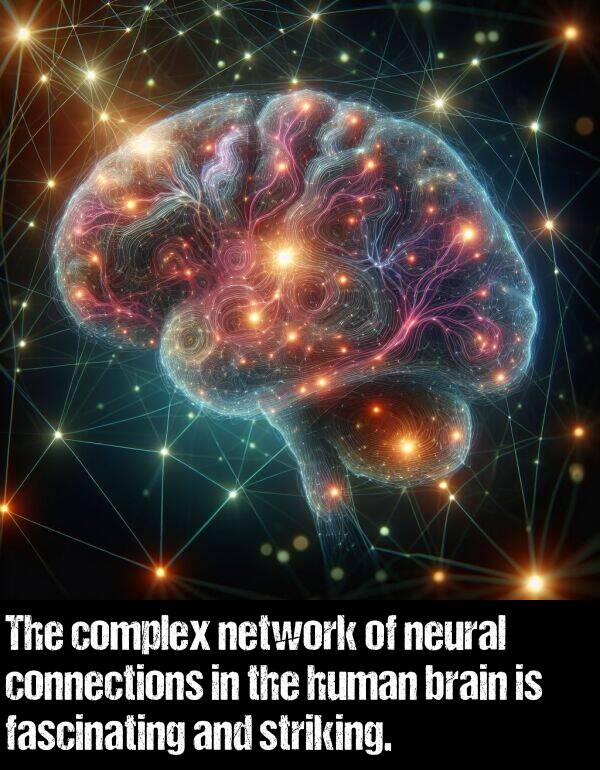 striking: The complex network of neural connections in the human brain is fascinating and striking.