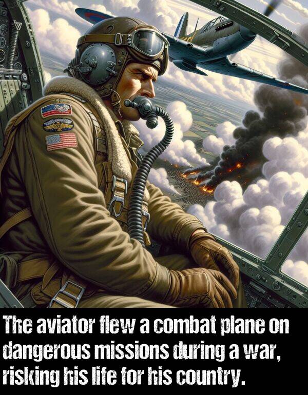 combat: The aviator flew a combat plane on dangerous missions during a war, risking his life for his country.