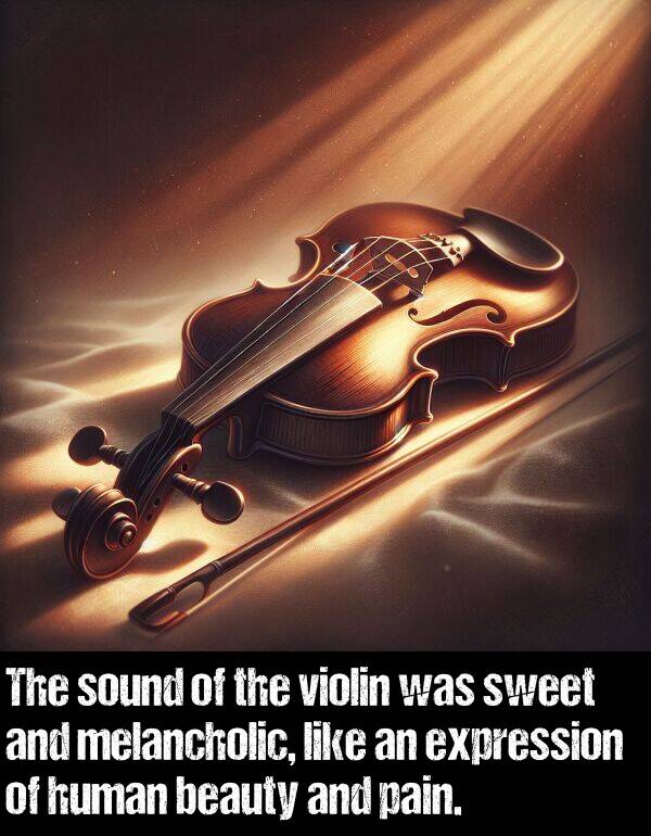 melancholic: The sound of the violin was sweet and melancholic, like an expression of human beauty and pain.