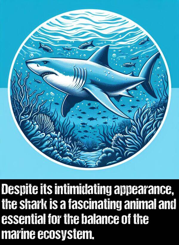 essential: Despite its intimidating appearance, the shark is a fascinating animal and essential for the balance of the marine ecosystem.